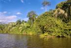 Amazonie - jezero Sandoval