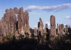 Shilin  stone forest