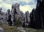 Shilin  stone forest