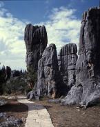 Shilin stone forest 