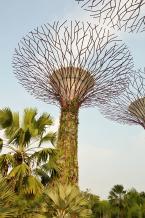 Singapur - garden of Marina
